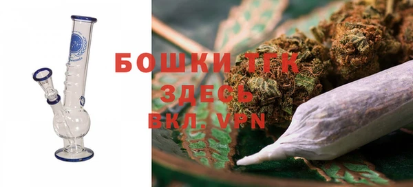 СК Протвино