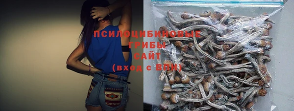 героин Богданович