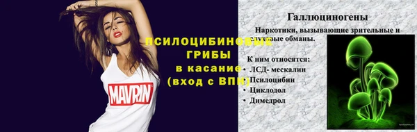 героин Богданович