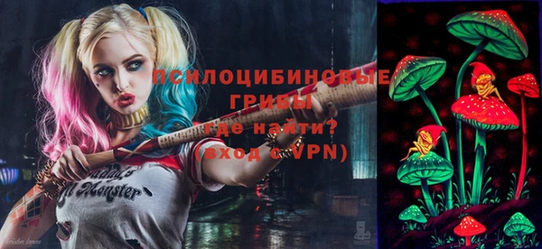ПСИЛОЦИБИНОВЫЕ ГРИБЫ Богородицк