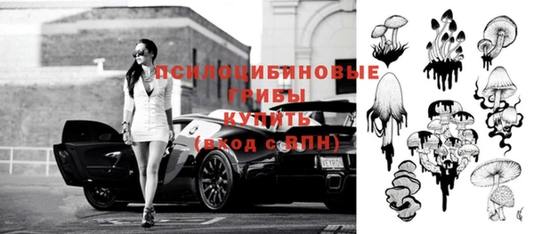 ПСИЛОЦИБИНОВЫЕ ГРИБЫ Богородицк